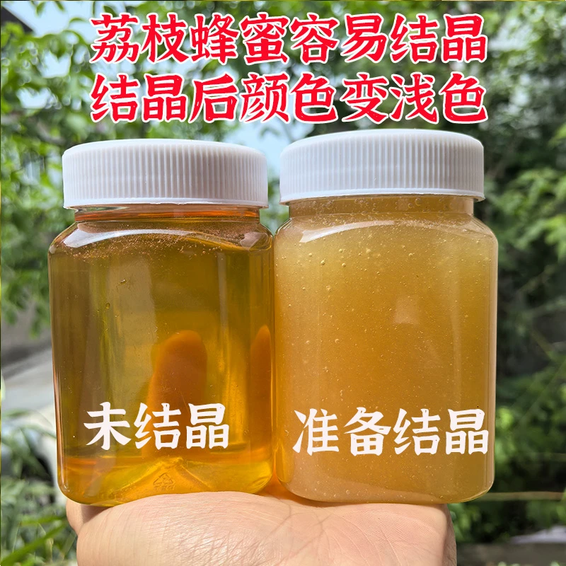 新鲜纯正荔枝花蜂蜜真蜂蜜正宗蜂蜜土蜂蜜天然蜂蜜荔枝蜜广东