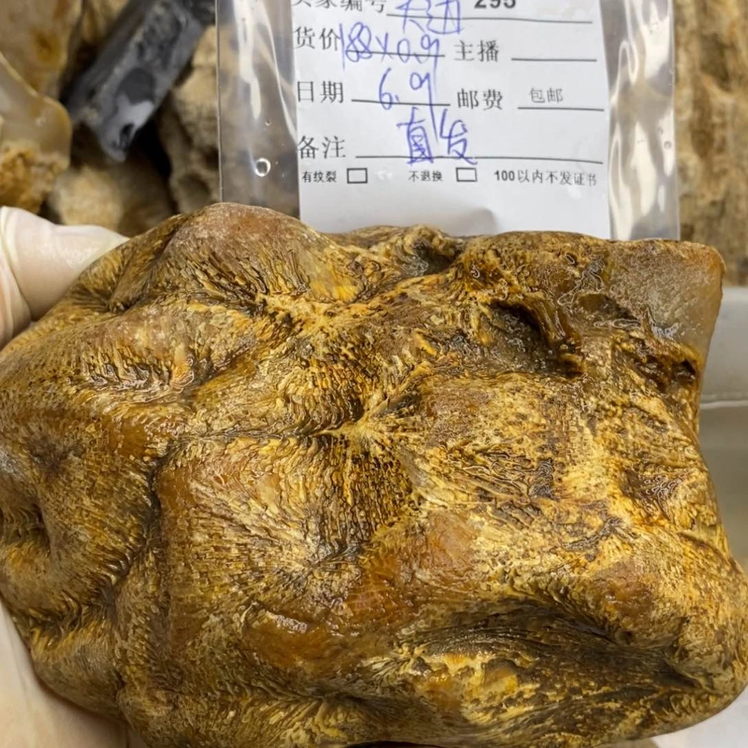 【闪购商品】硅化玉颈饰未镶嵌＆****云