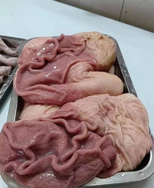 贵州熟食黑土猪 猪肚（整个）论个不论斤 京东空运