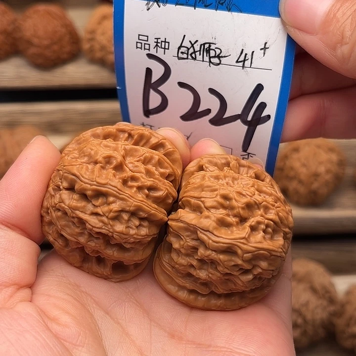 吊坠文玩核桃闷尖白狮子41