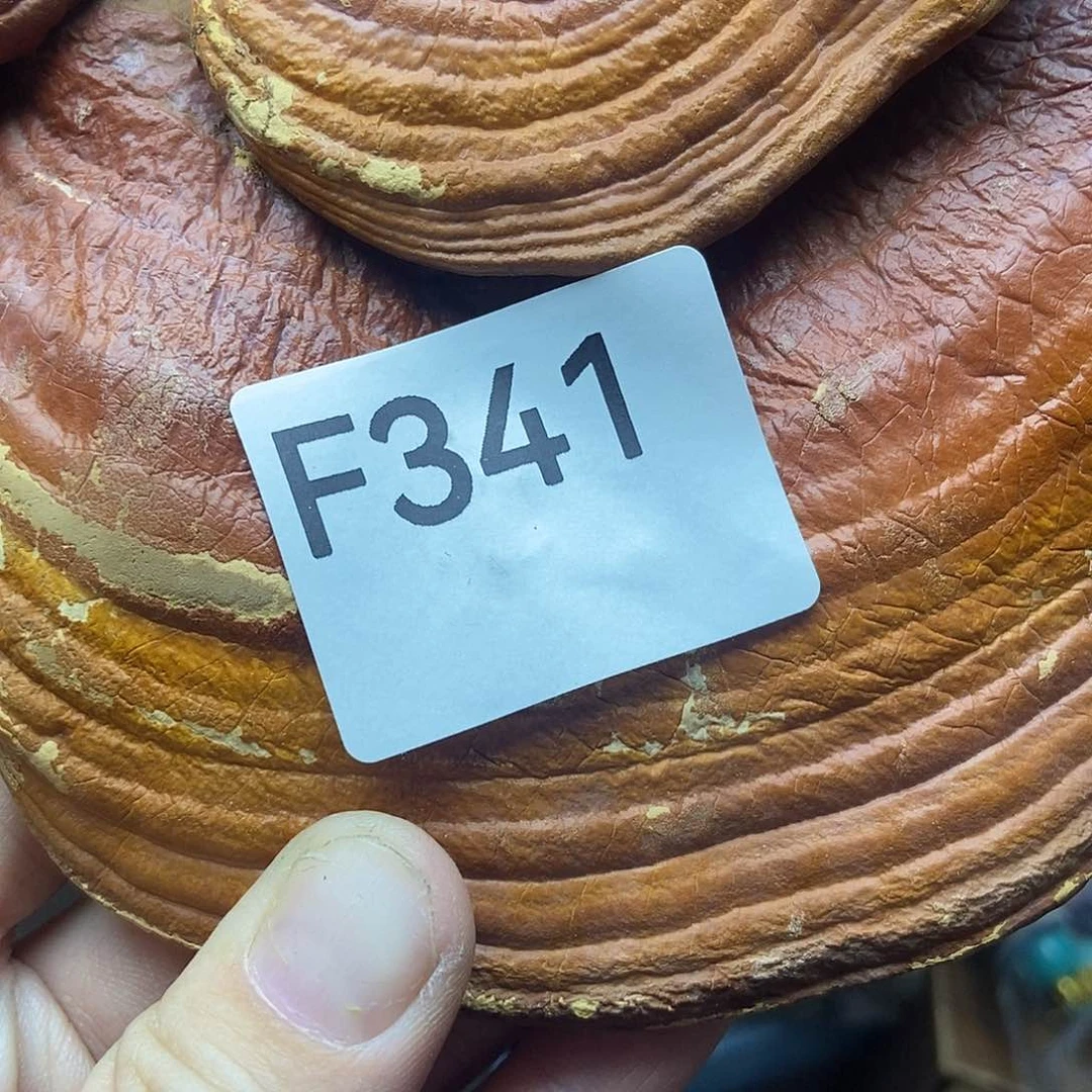 手工艺品琉璃闻*341