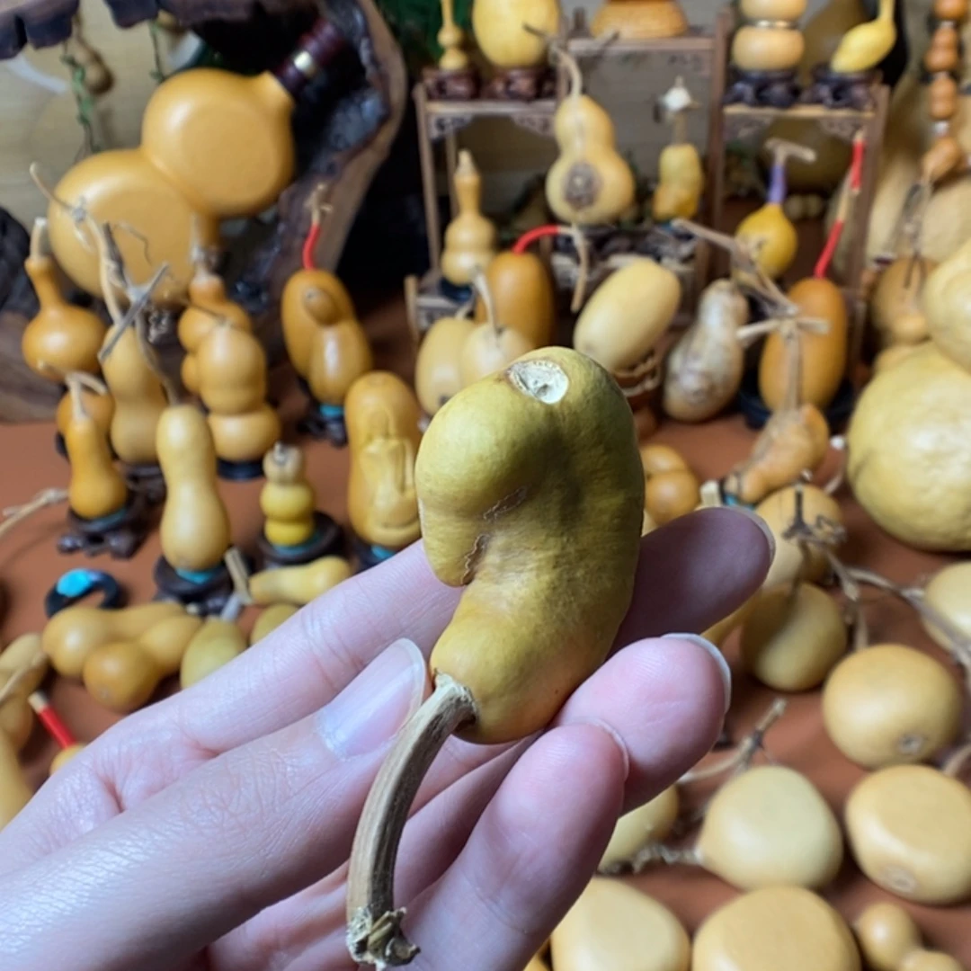 ****作阿教练哭了考虑教练咯
