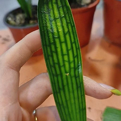 完全开放你一我看一下就行了