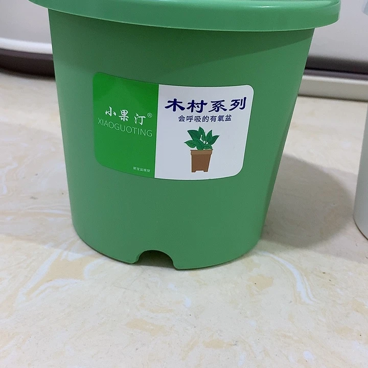 小果汀15口绿10个无托