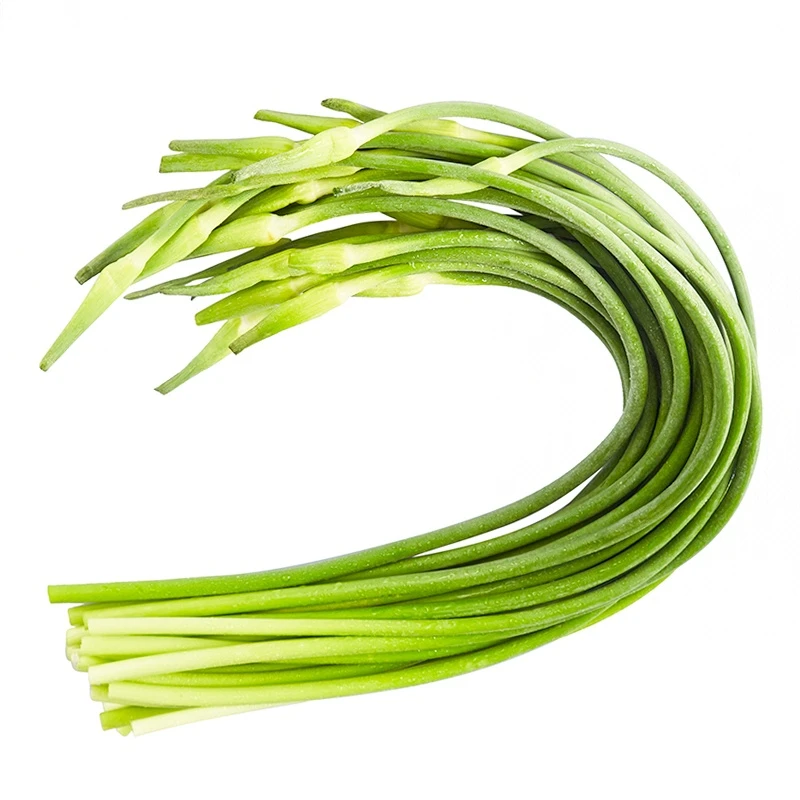 2025年山东苍山新苗蒜薹（蒜苔）约350g