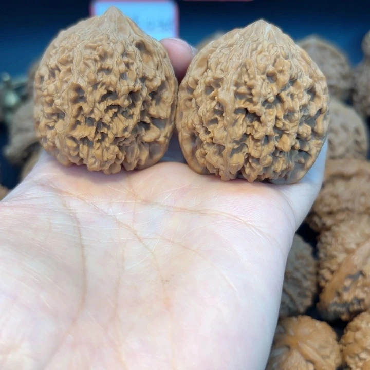 43满天星全品无修全品无修