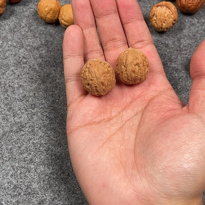 文玩核桃吊坠小蚂蚁纹