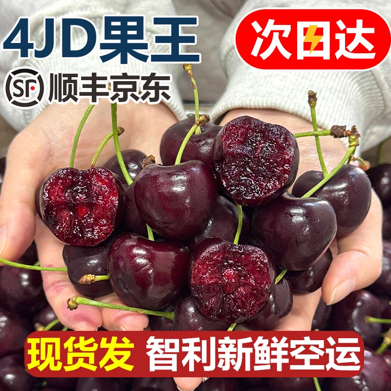 4JDD果王【今天拍明天到】智利空运车厘子新鲜宝宝孕妇水果LL内附果径卡800g桑提娜樱桃智利共和国