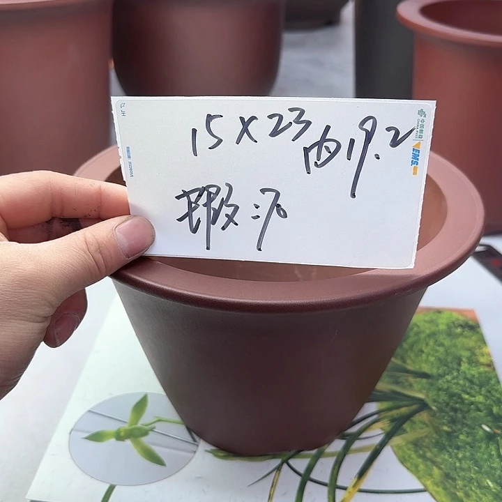 紫砂2222222222222