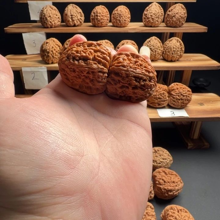 林***北桃核吊坠南疆石拉丝纹尺寸35