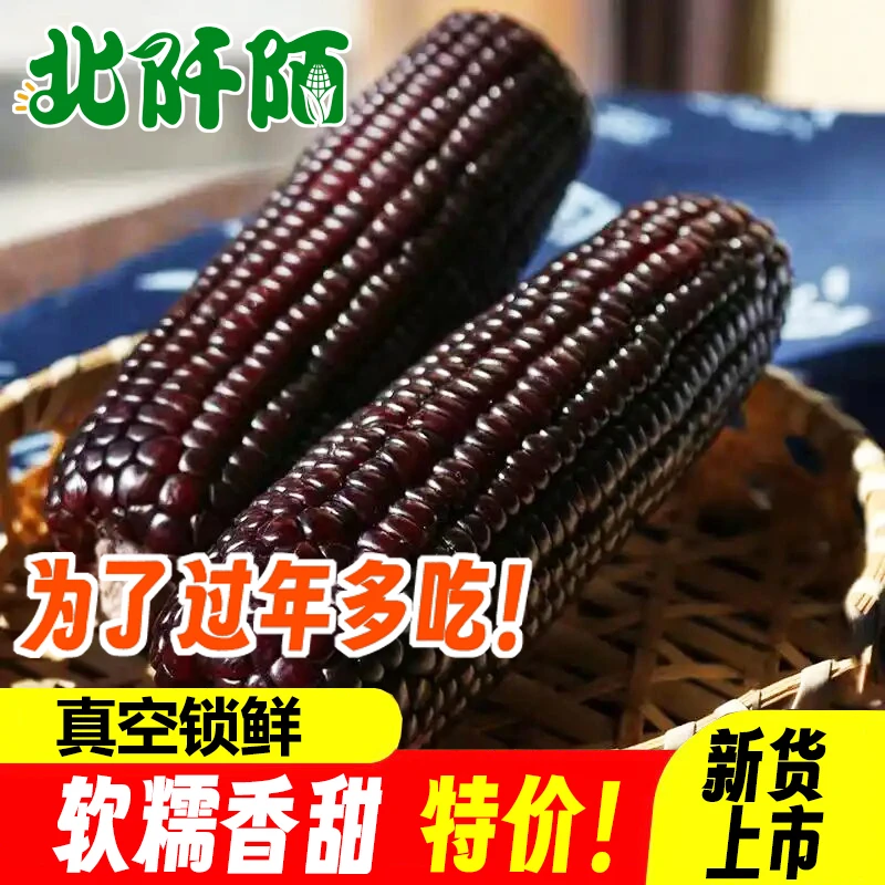 爆款新品 黑玉米甜糯真空包装0添加新鲜粗粮玉米棒低脂代餐早餐