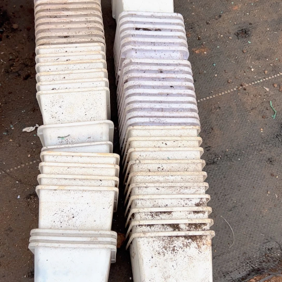 小白方盆8-9-10口径6高 50个