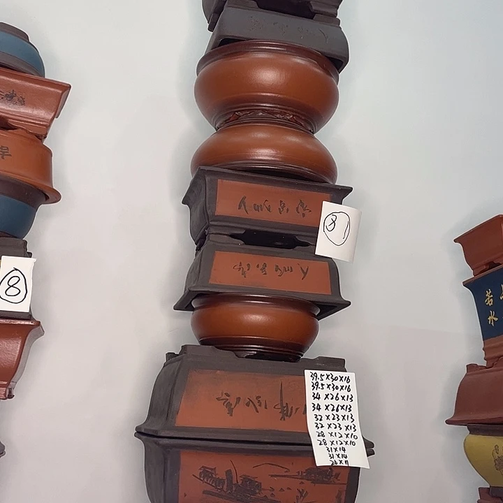 81一家漏家漏家了课堂开课啦