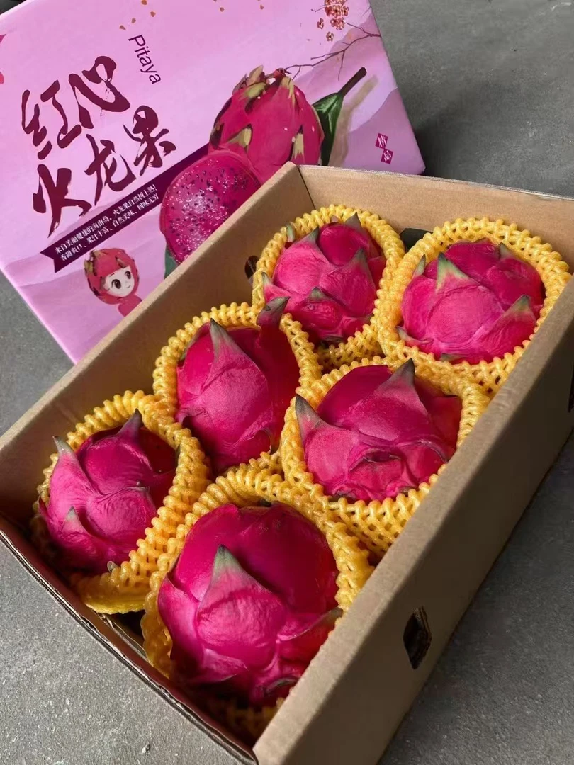 海南树上熟金都一号红心火龙果新鲜现摘顺丰发货应季水果