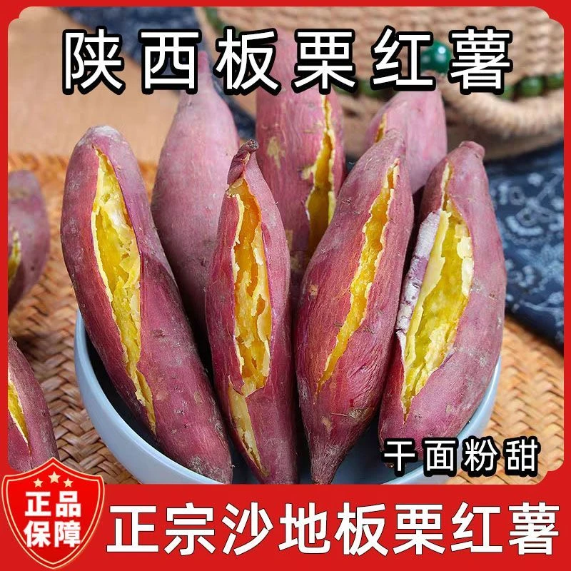 板栗红薯新鲜现挖现发干面粉甜陕西直发2025板栗香粉糯甘甜沙地