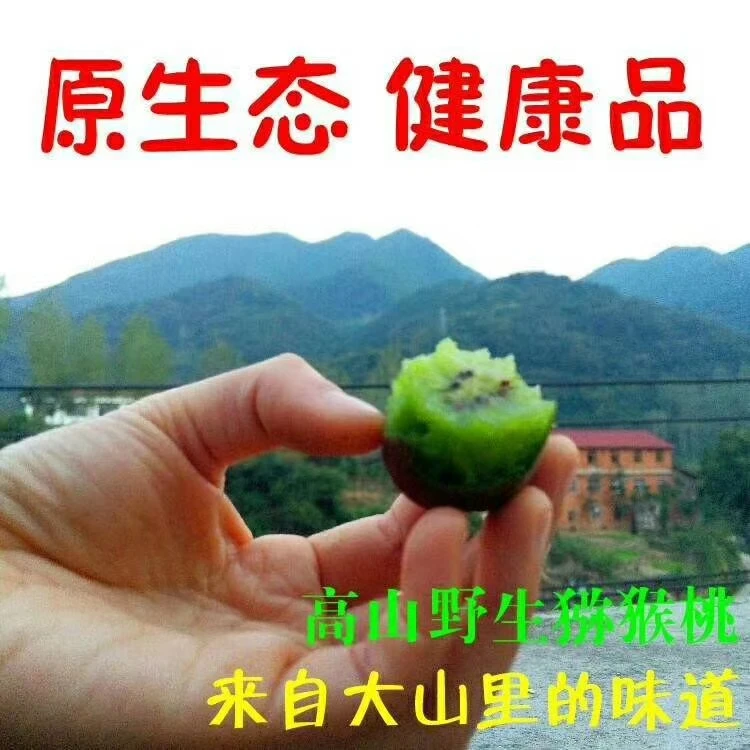 野生正宗绿心猕猴桃新鲜应季水果皮薄肉厚维C丰富