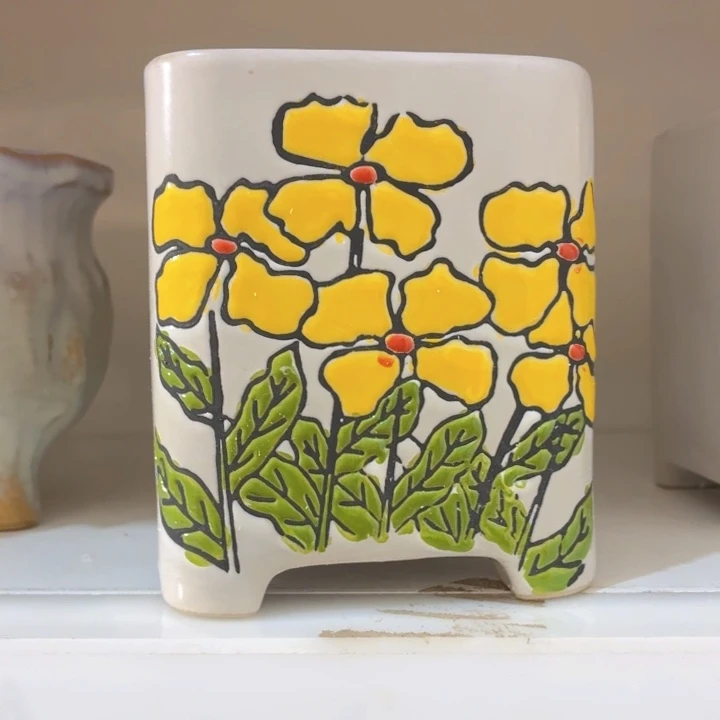 多肉花盆满15包邮