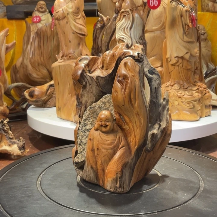 柏木（崖柏）@***源崖柏  弥勒