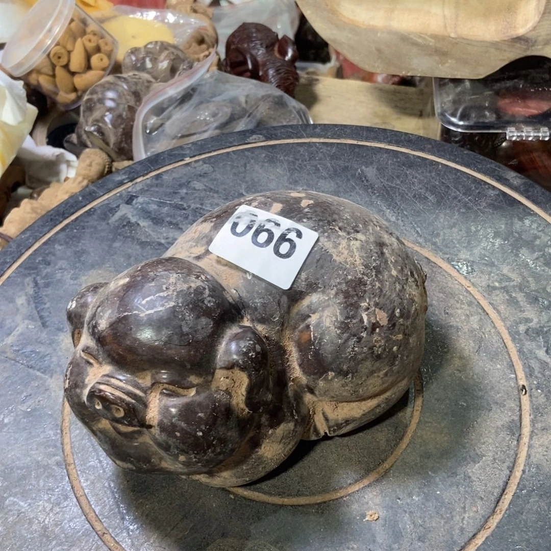 含***象木999999999999999999