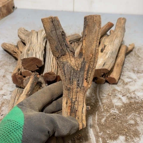 大果紫檀（缅甸花梨）曾***诺