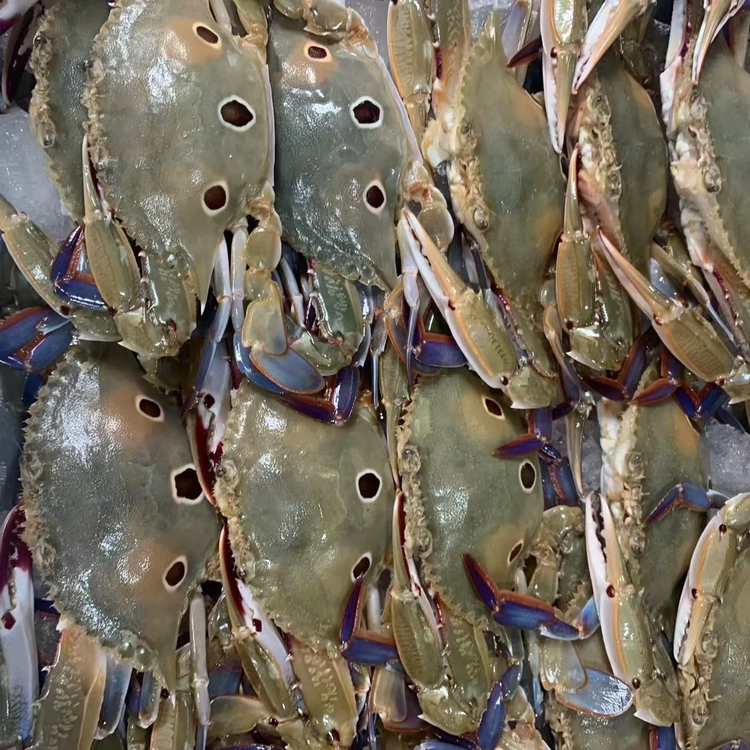 三点蟹，3斤半包邮，5斤包邮