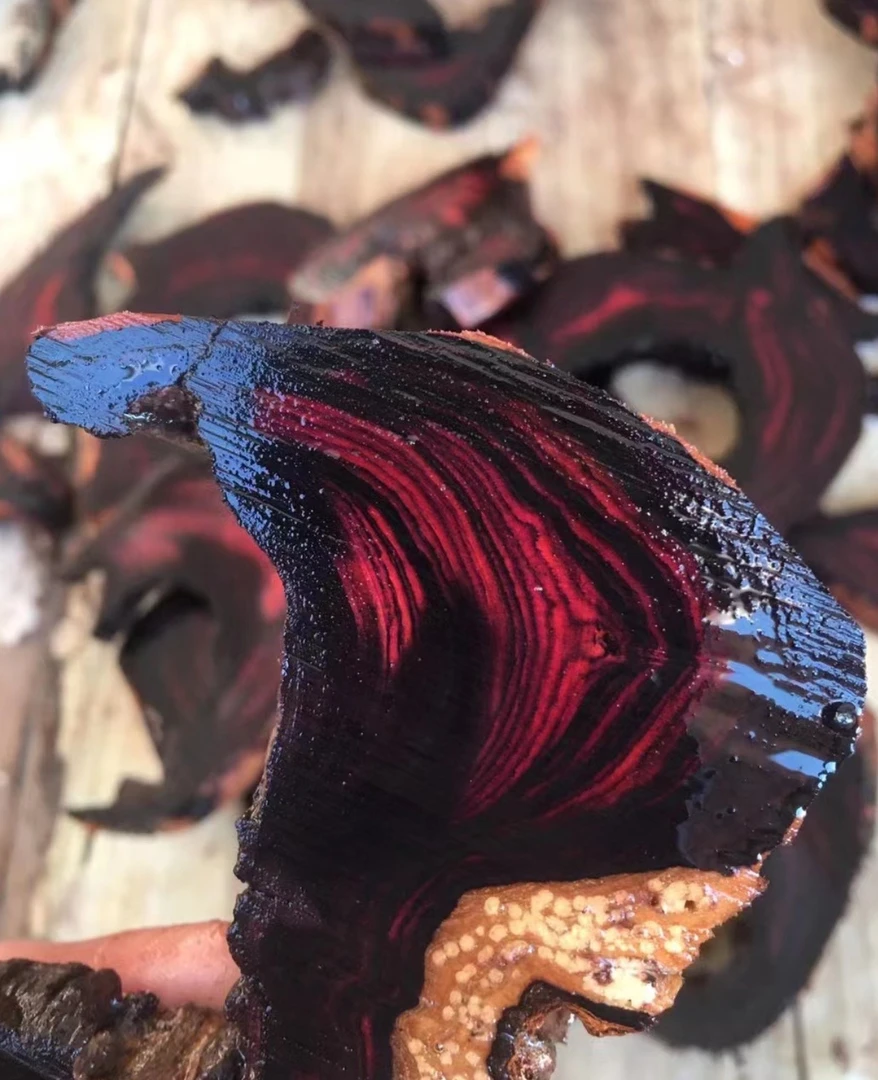 海黄原木材简装伴手礼摆件  直播间展示物品为准