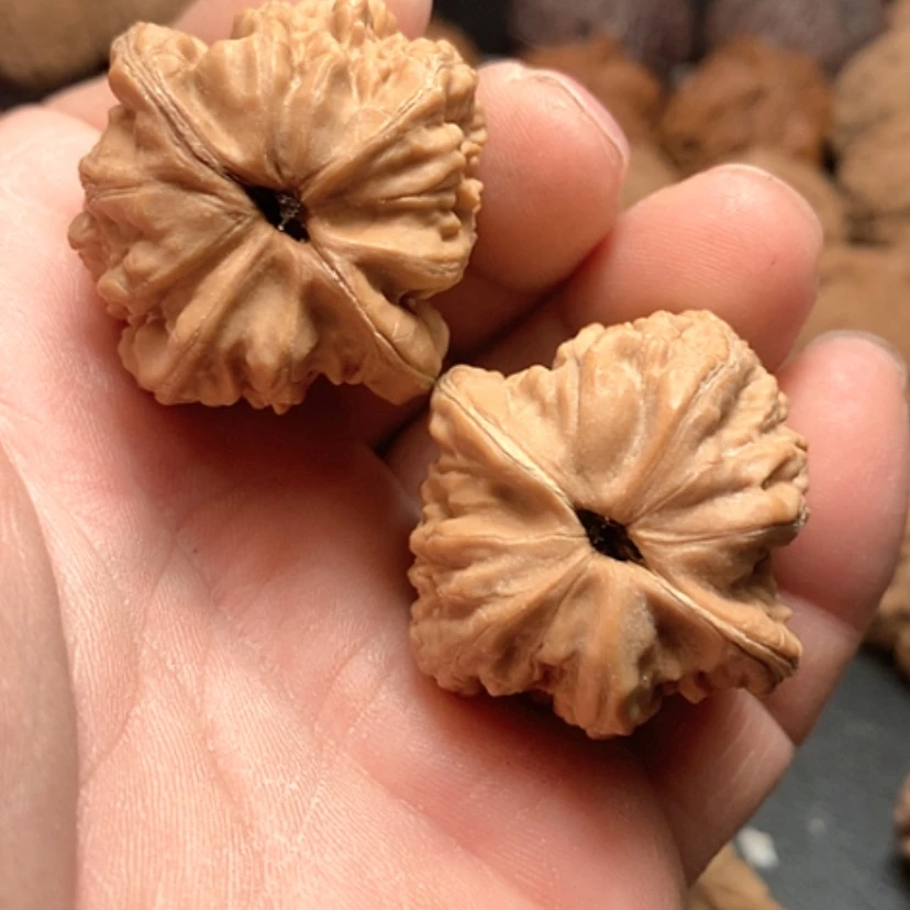 【闪购商品】C***界赤龙鸡心