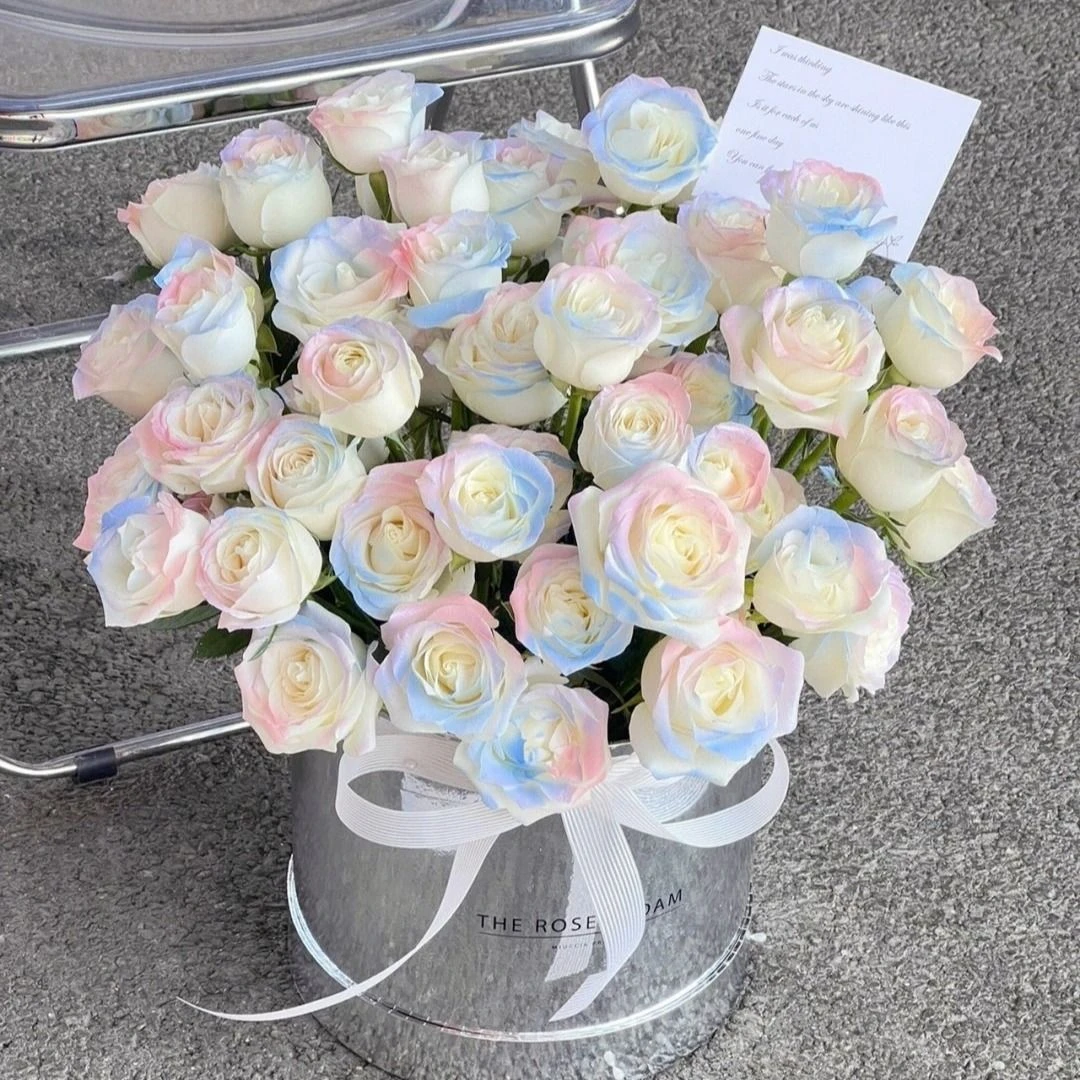 【神秘】52朵人鱼姬玫瑰花抱抱桶白玫瑰喷色生日礼物鲜花送女友花店送花上门七夕情人节礼物