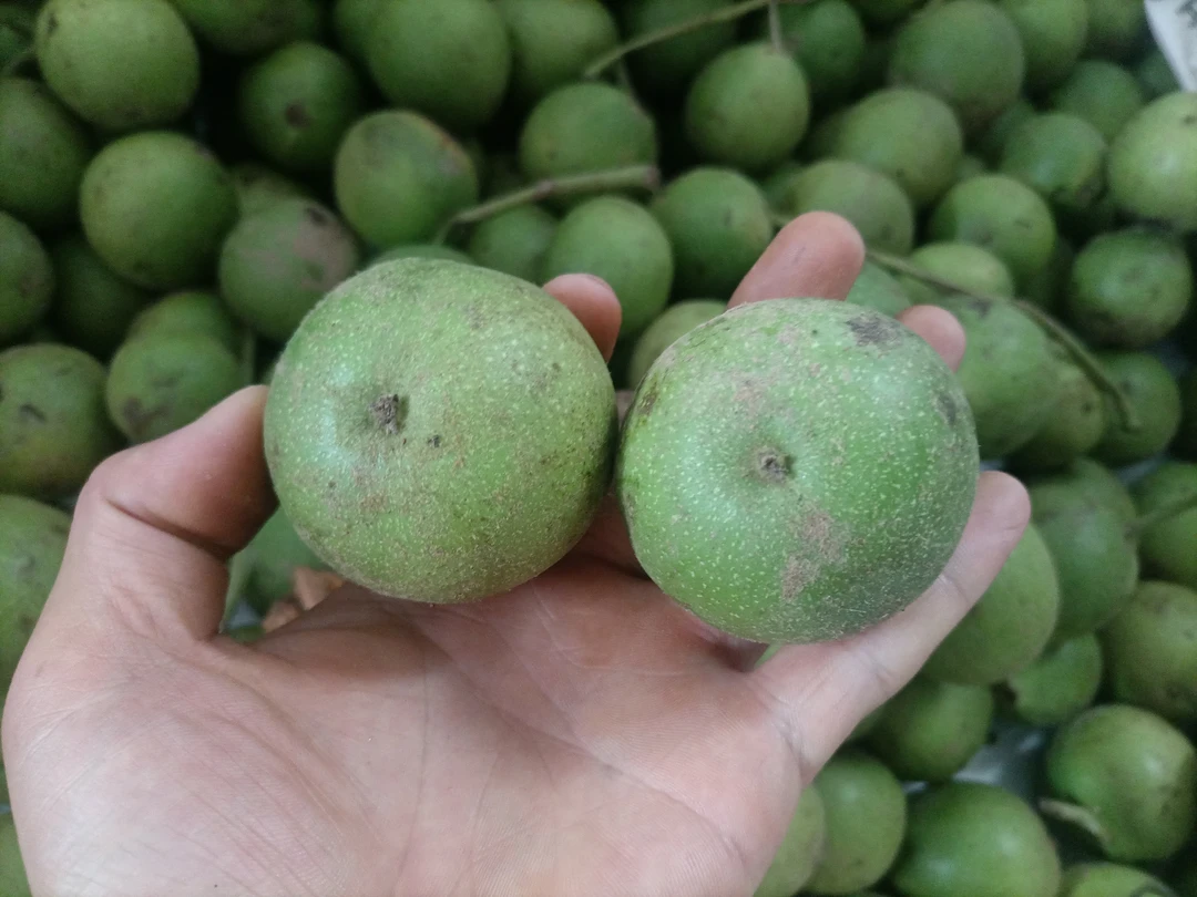 盘山（三棱）文玩核桃拍一发10只