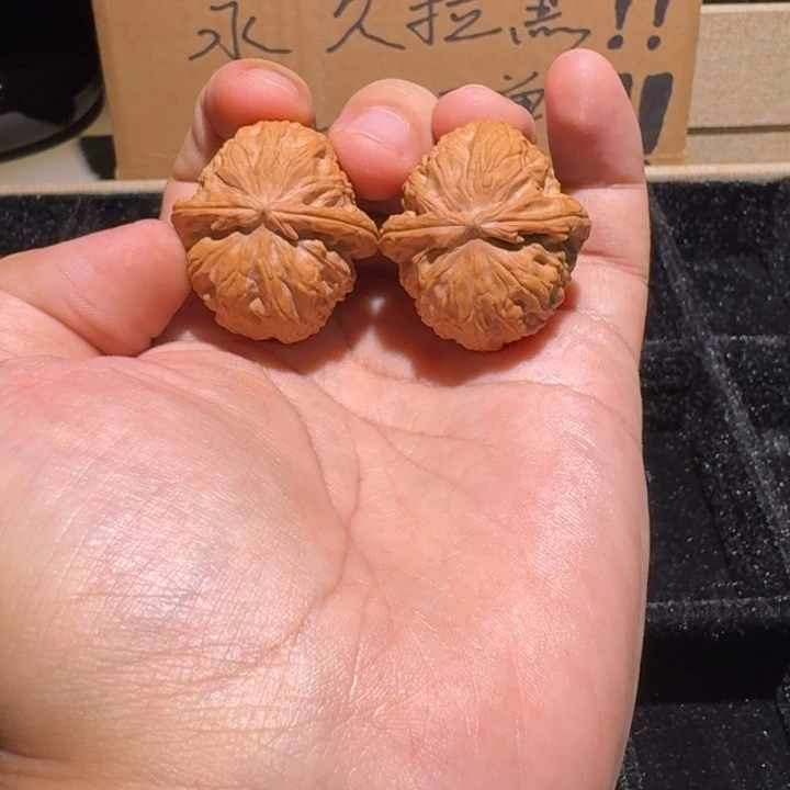 魏***子吊坠文玩核桃白狮子