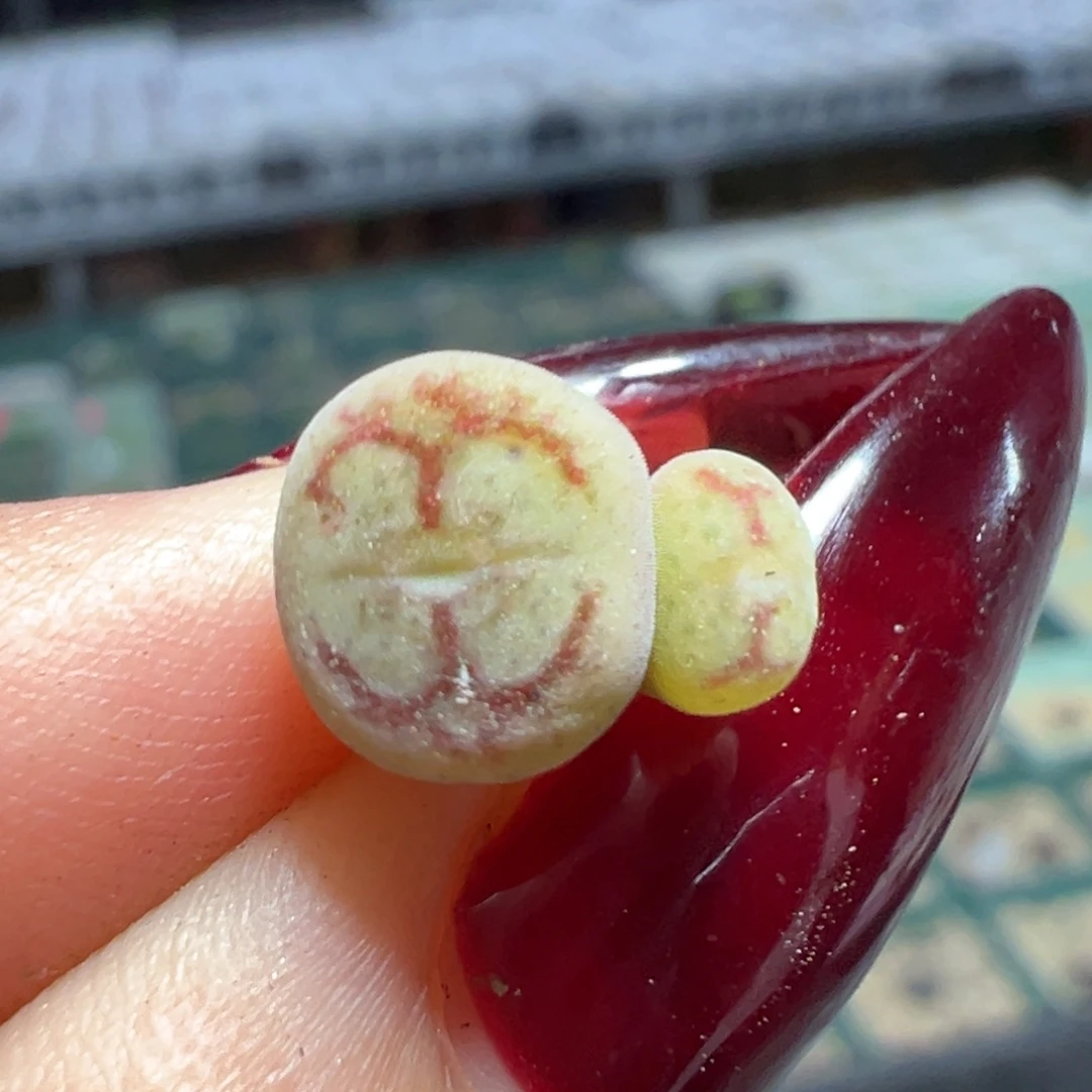 火焰大圣杂多肉植物