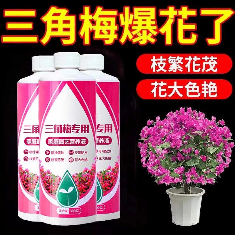 三角梅开花专用植物营养液肥促花爆花复合肥料养花枝繁叶茂促开花