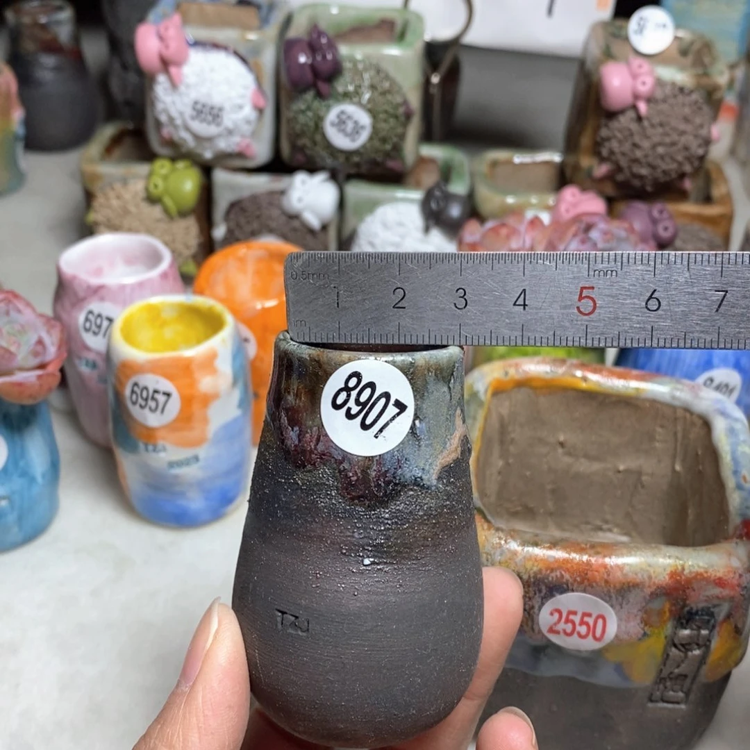 拍5送一个小礼物