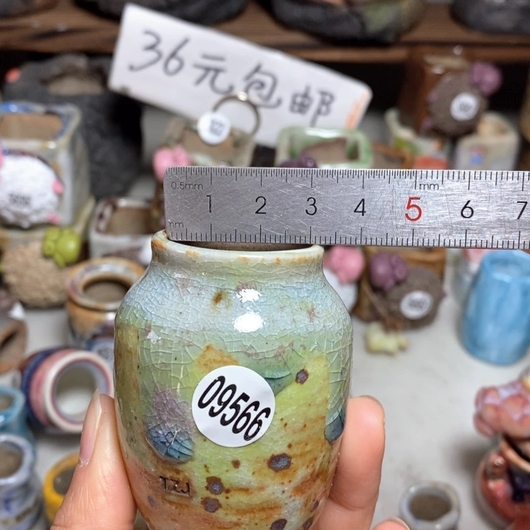 拍5送一个小礼物