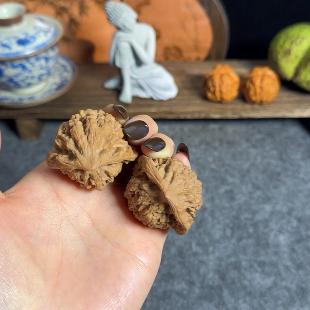 全品4344官帽飞蛇白不退换