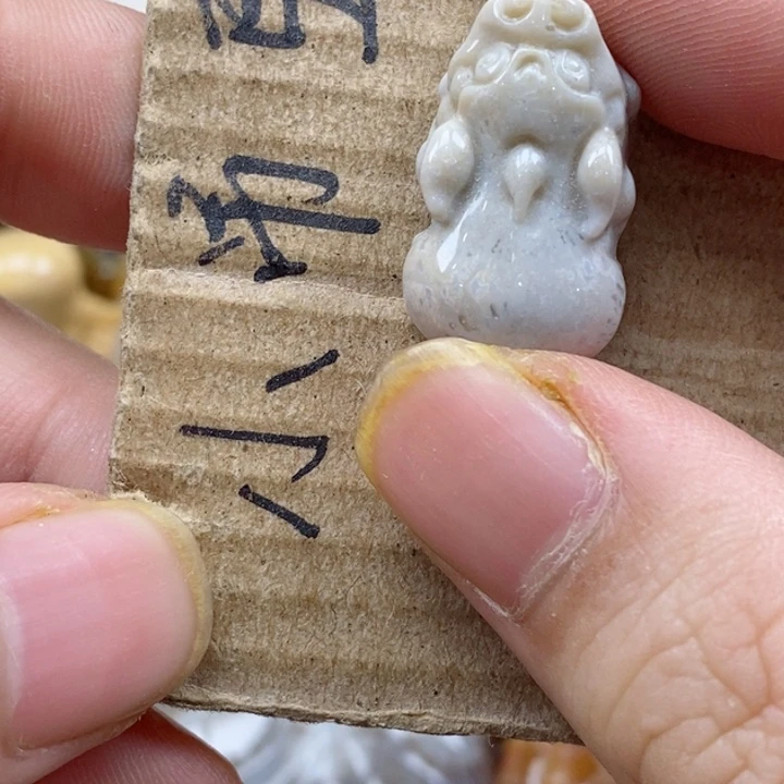 颈饰未镶嵌硅化珊瑚（珊瑚玉）晨*晨