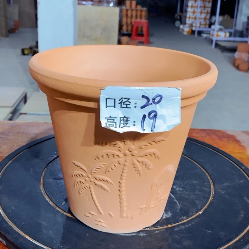 【闪购商品】椰树20×19-1