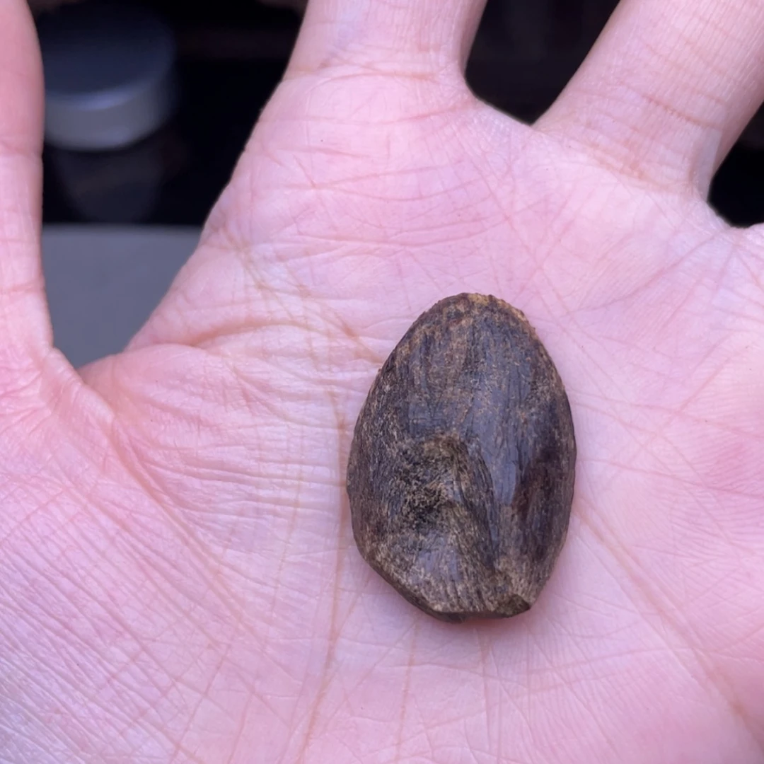 【闪购商品】香榧木海南老包头1.7克