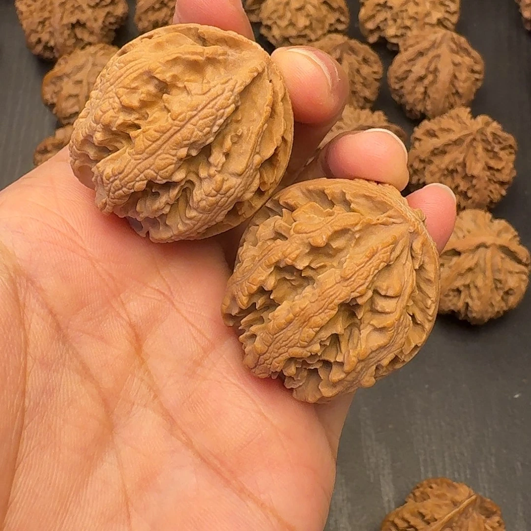 核桃突突突突突突突突