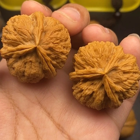 文玩核桃把件36尺云南he t