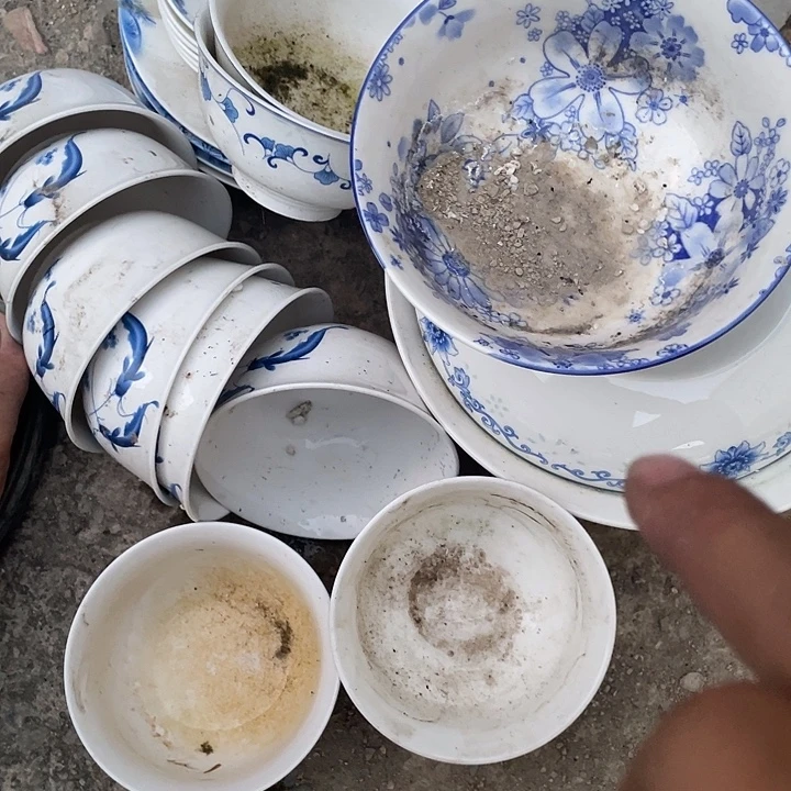 天***阔景德镇陶瓷学院等单位