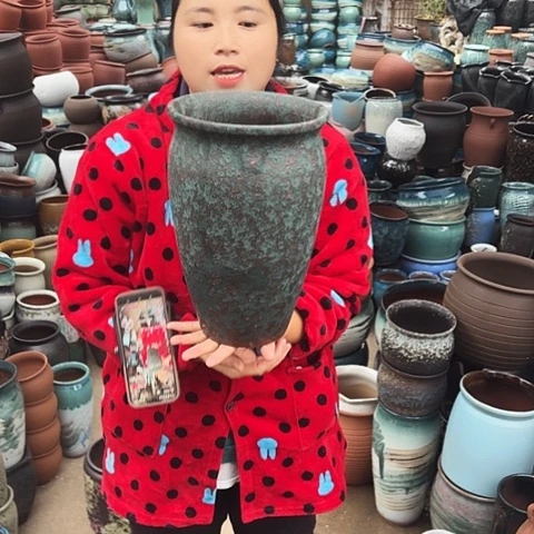 20口31高一个盆子。