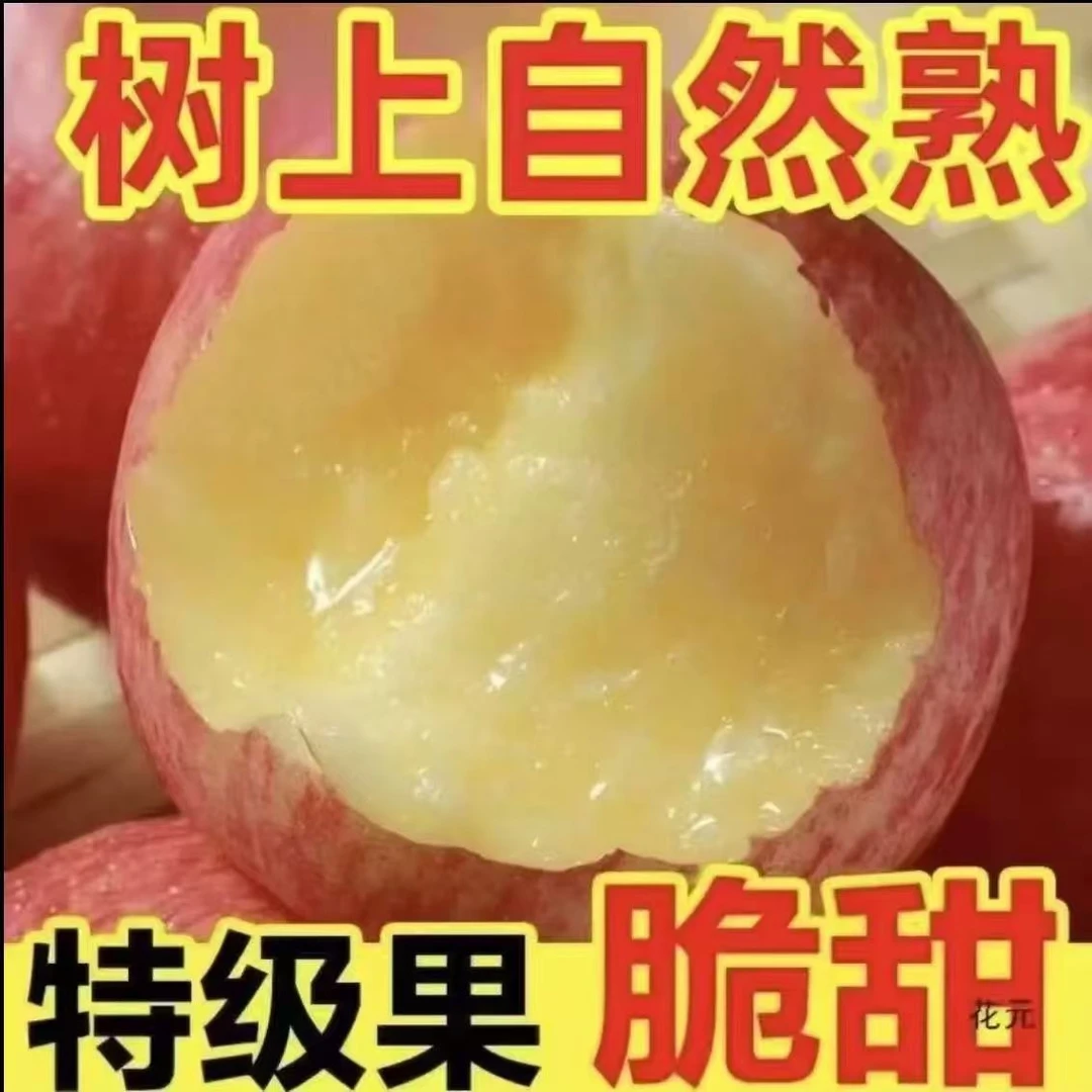 【现摘现发】正宗红富士苹果25年新果脆甜多汁现摘现发