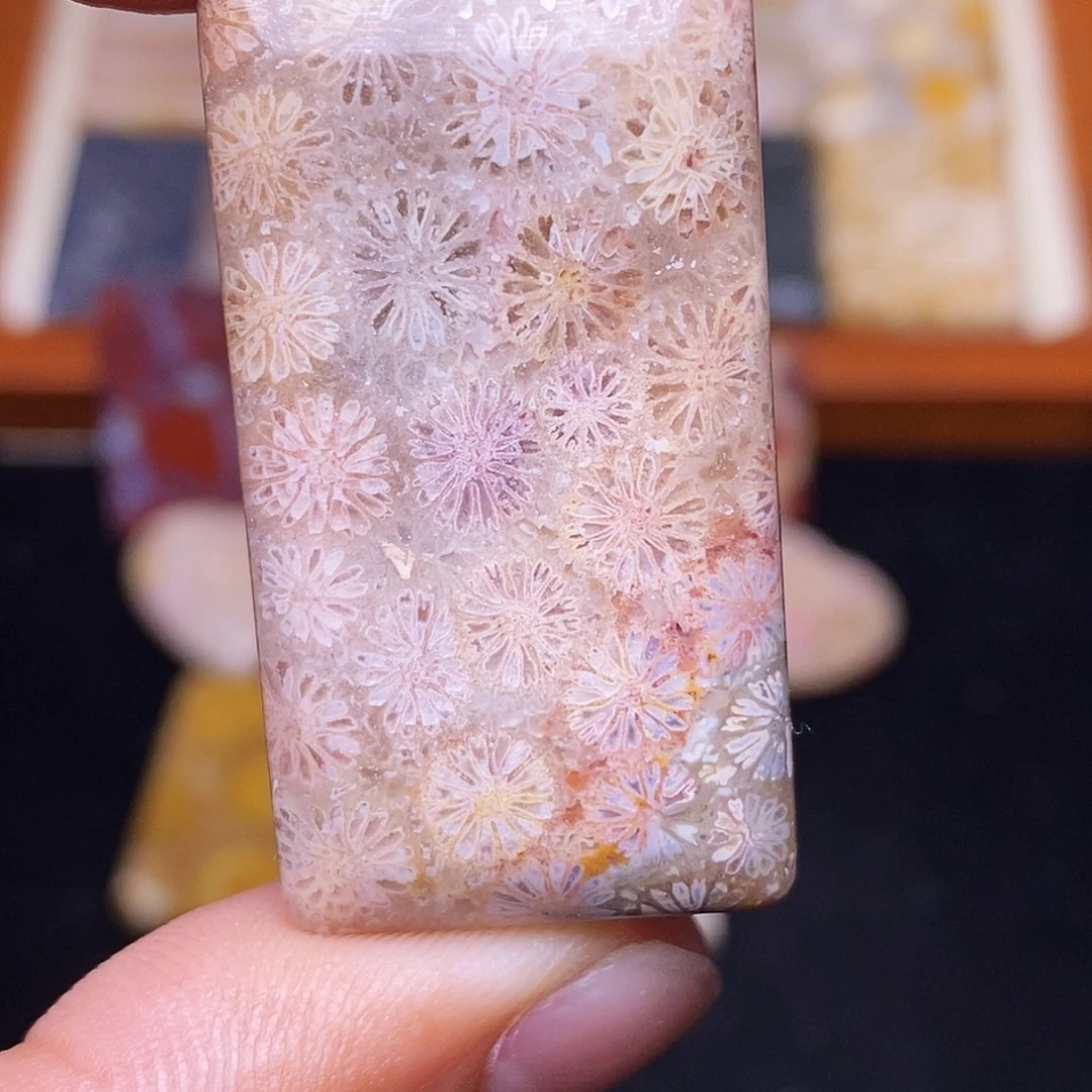 觉***C合金珊瑚玉硅化玉