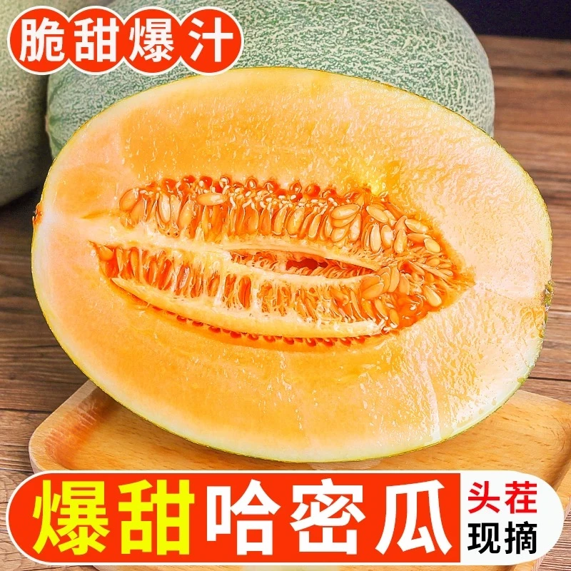 【清甜一夏】4-5斤哈密瓜清甜爽口果肉细腻新鲜水果坏果包赔