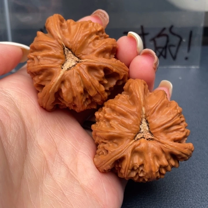 ****二吊坠文玩核桃白狮子