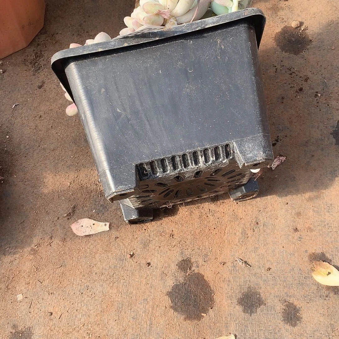 18黑方 用过的9.9米 15个