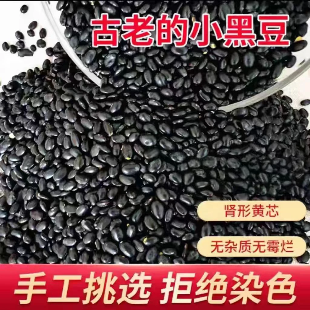 黄心黑豆 新货老品种农家自产肾形黄心黑豆 营养丰富 可打豆浆