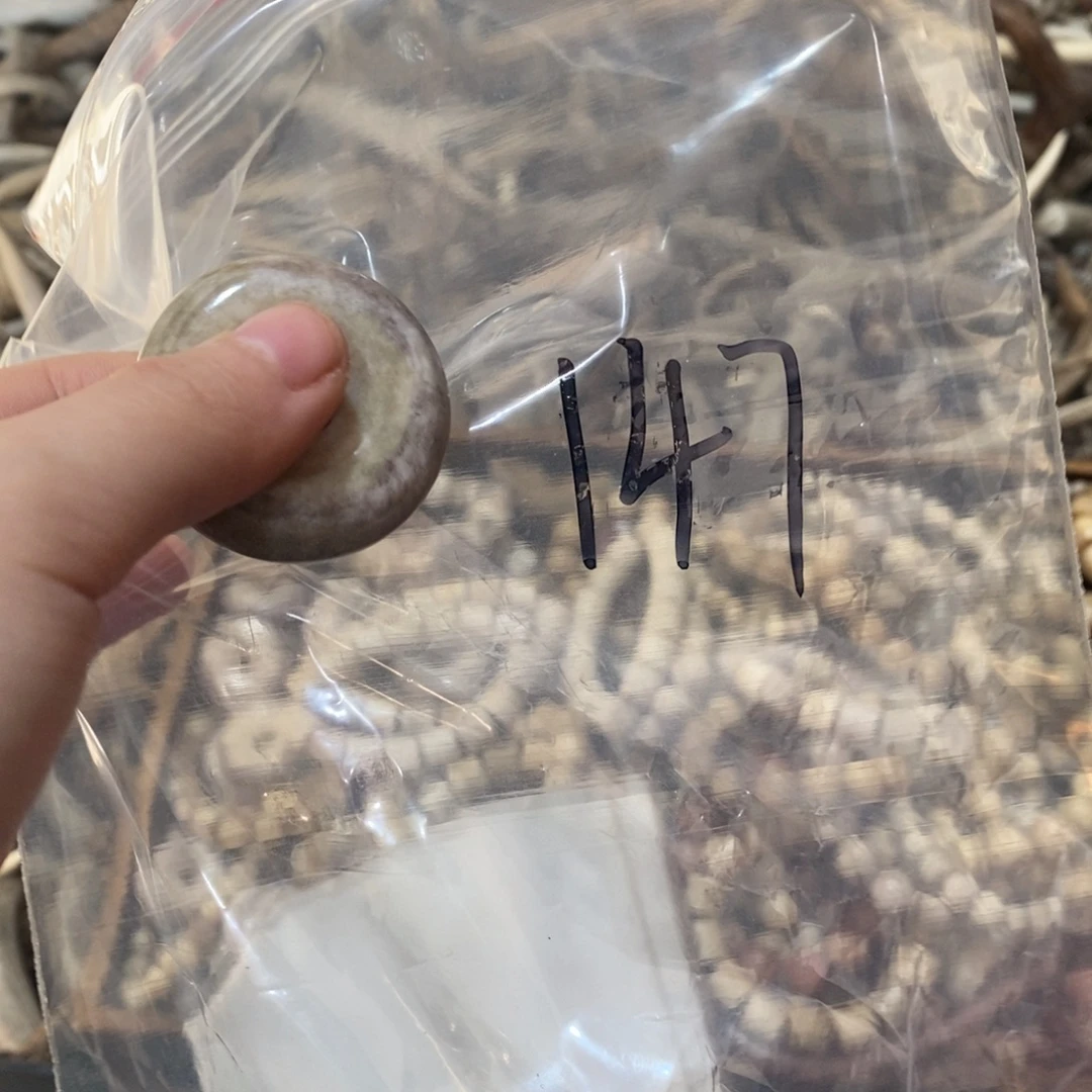 ～***非金属鹿角鹿角鹿角