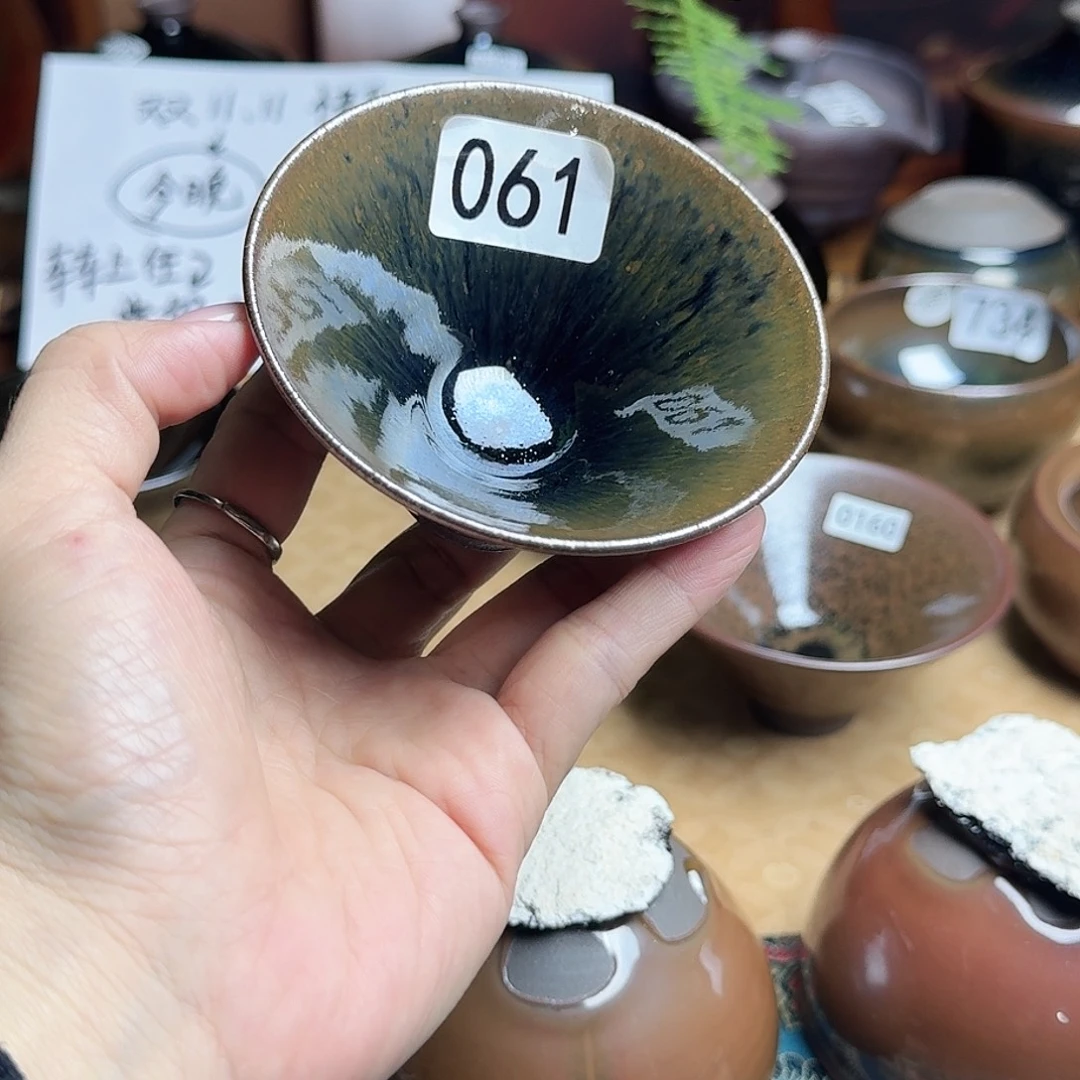 茶盏061 一档主人杯今日福利